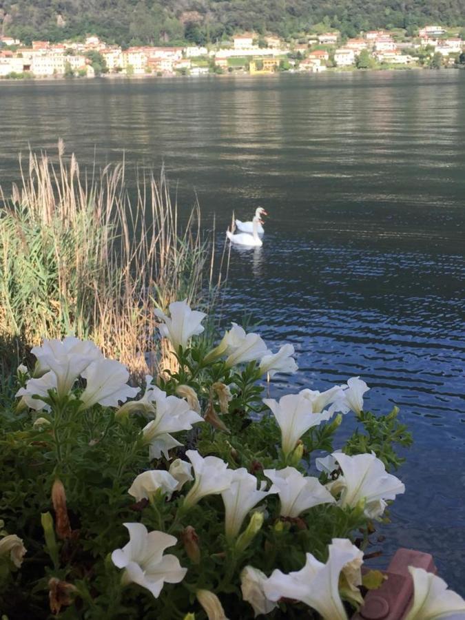 La Casa Dei Cigni Sul Lago D'Orta Omegna Eksteriør bilde
